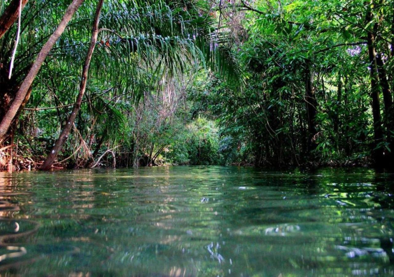 Thermas Goias - Park Veredas 热河市 外观 照片
